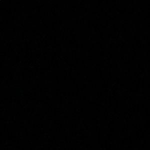 Meet your Posher, Pavey